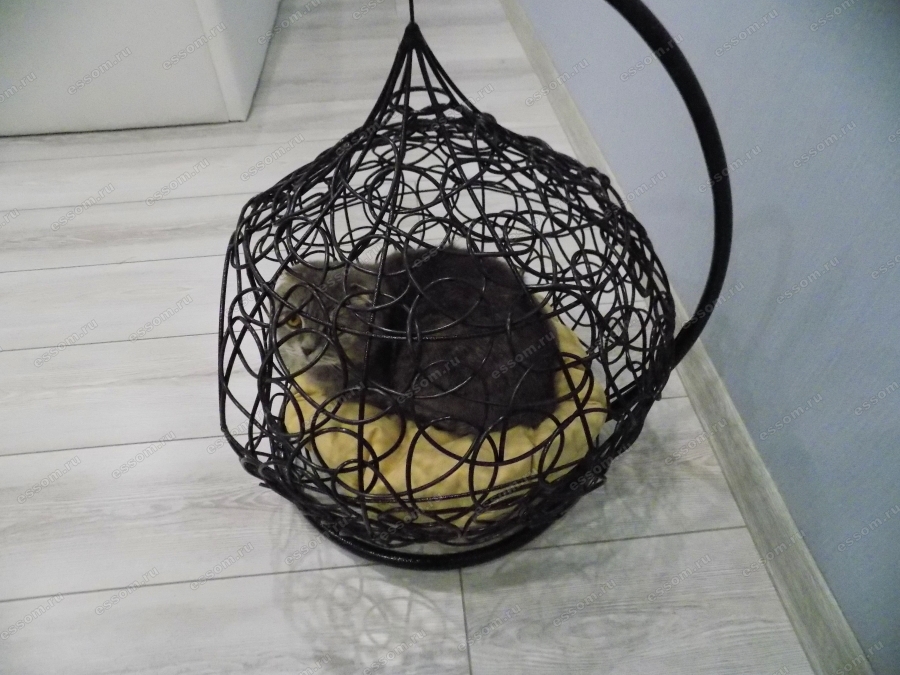 Домик для кошки Sofia