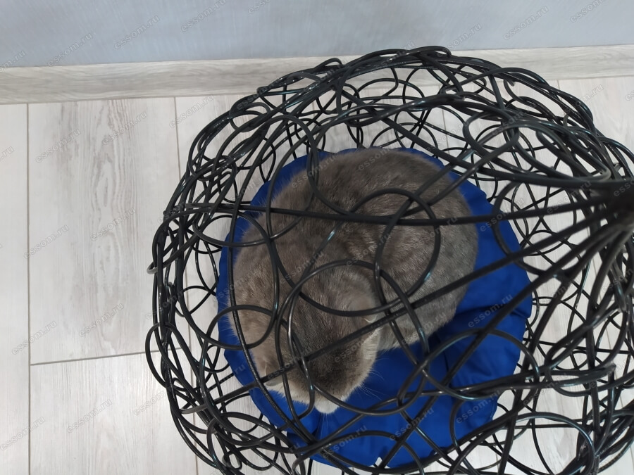 Домик для кошек Camillе